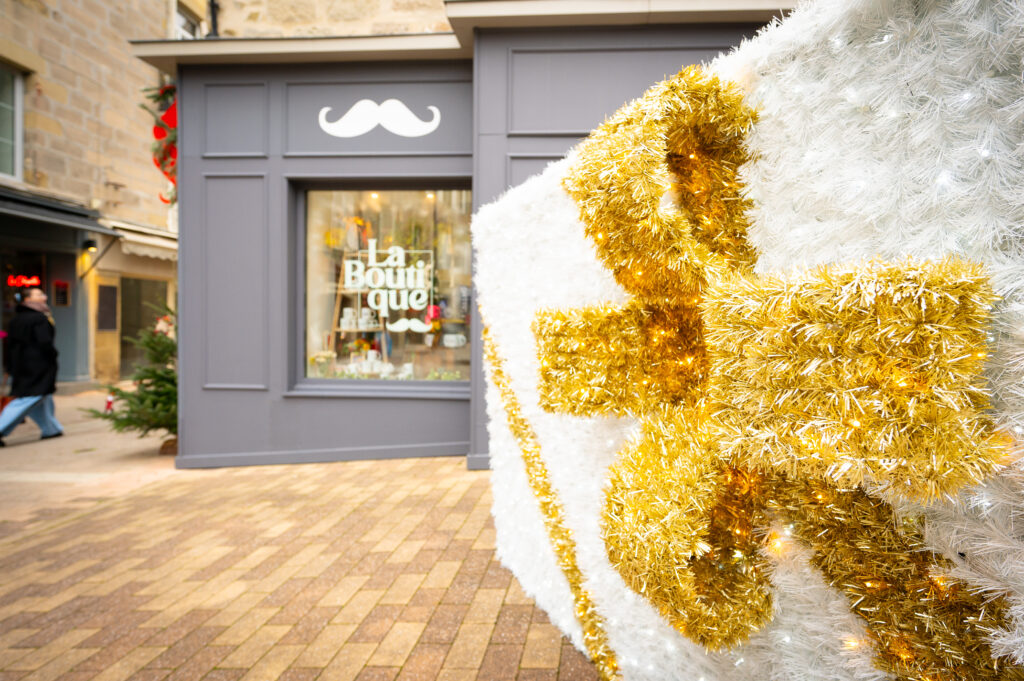 Vitrines en Fête 2025 - Xavier Harismendy - Ville de Brive-2619