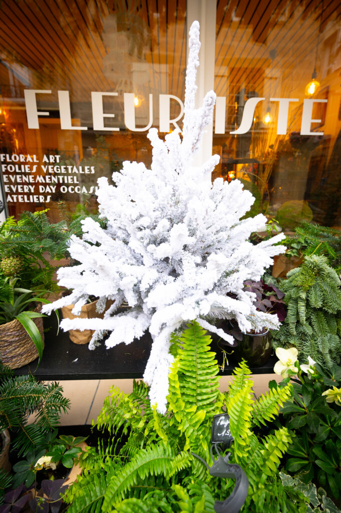 Vitrines en Fête 2025 - Xavier Harismendy - Ville de Brive-2624