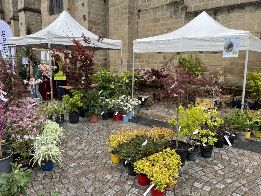 Fête des Jardins de Brive 2025_6539