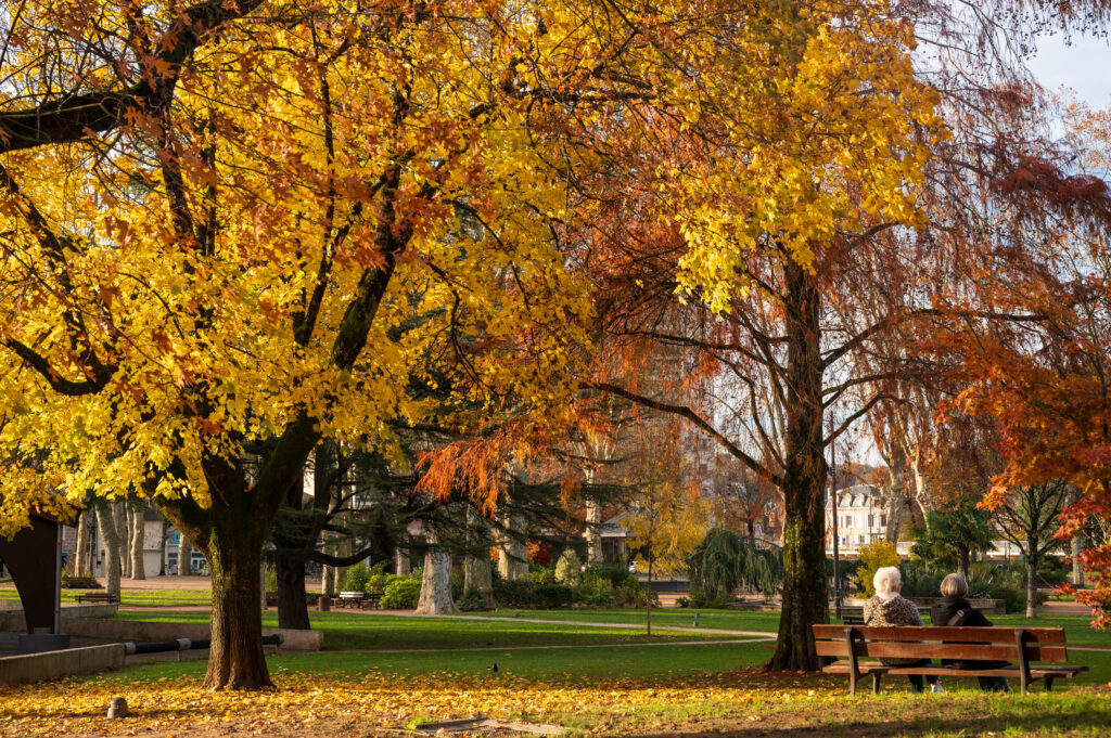 Parc La Guierle en automne - Xavier Harismendy - Ville de Brive-5135