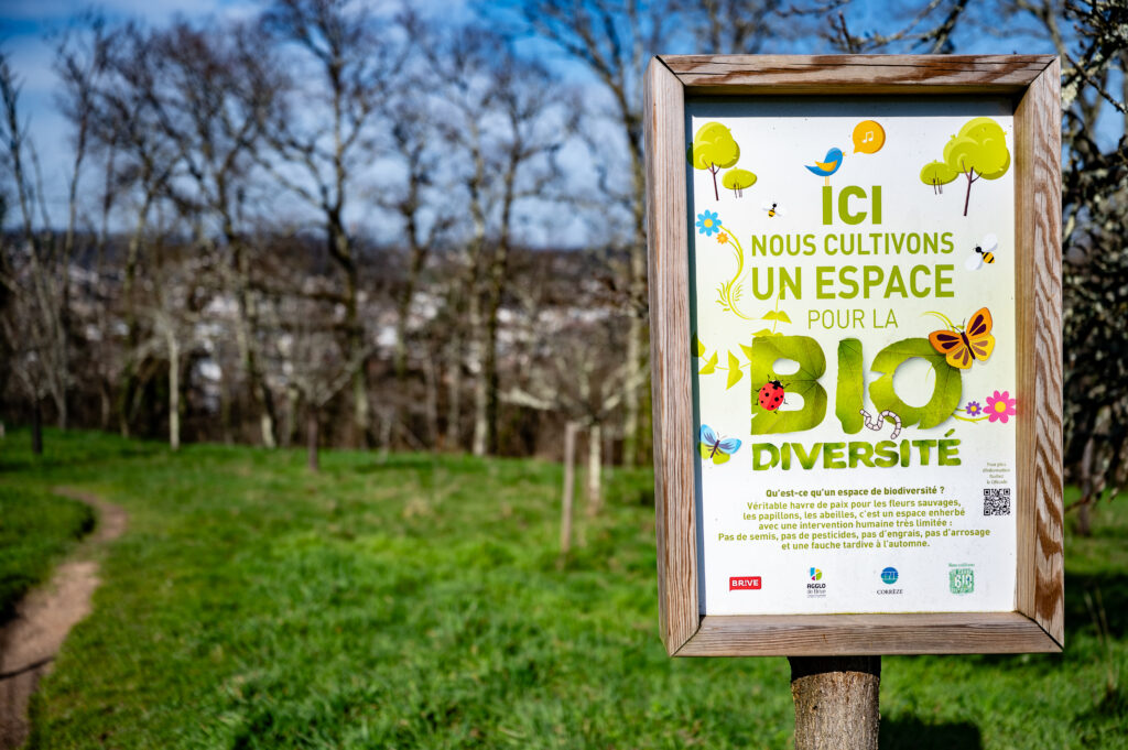 Parc des Perrières - Biodiversité - Xavier Harismendy - Ville de Brive - 5048