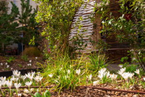 Place de la Halle 2026 © Xavier Harismendy - Ville de Brive-71