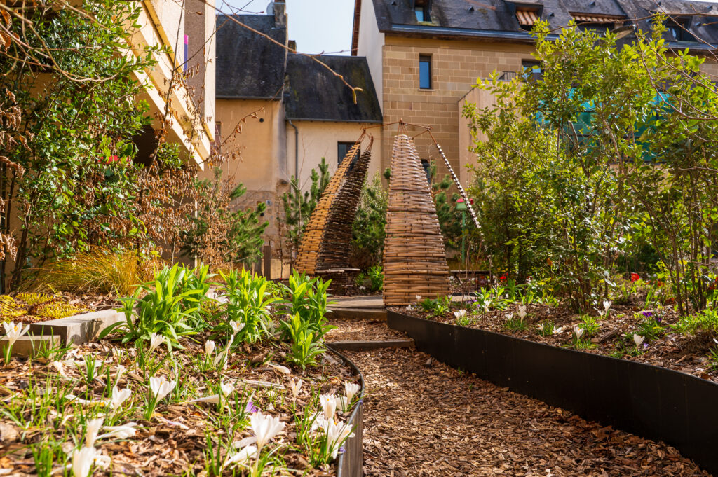 Place de la Halle 2026 © Xavier Harismendy - Ville de Brive-72