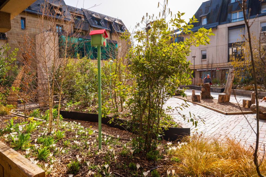 Place de la Halle 2026 © Xavier Harismendy - Ville de Brive-81
