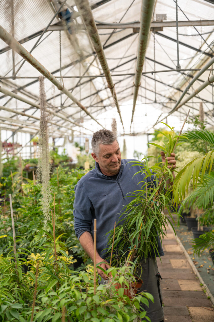 Serres - Service Cadre de vie Espaces Verts - Raphaël Josse - Ville de Brive - 5465
