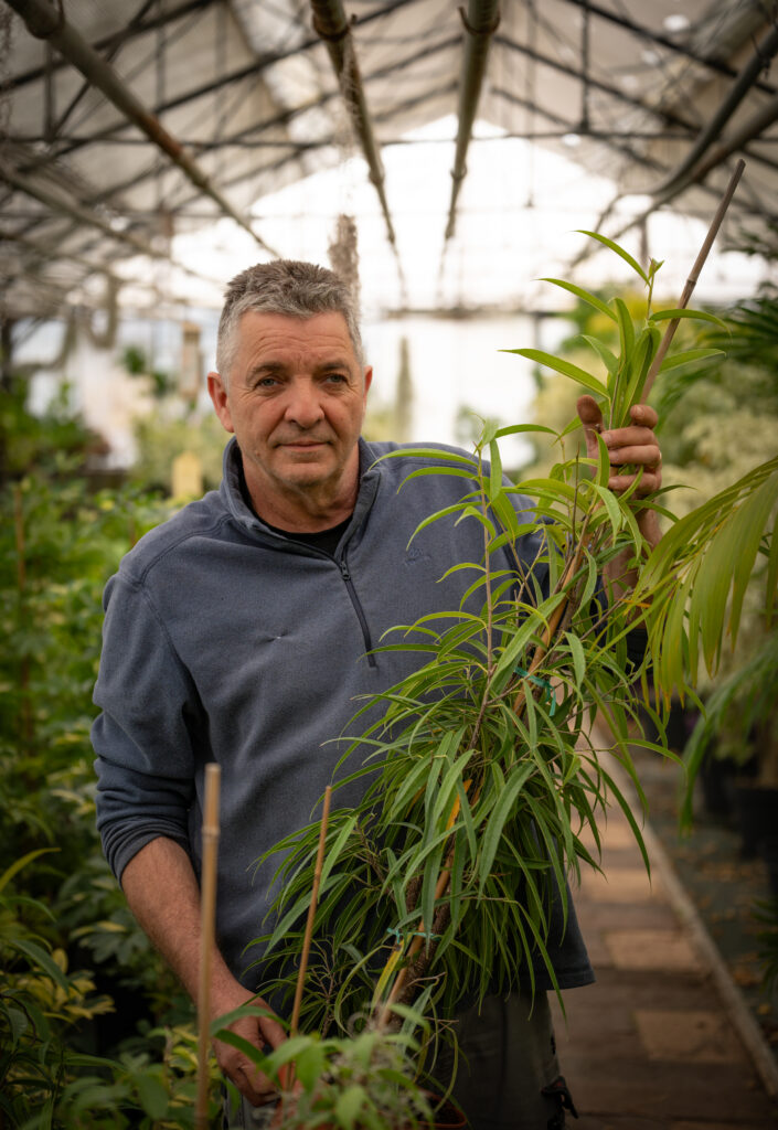 Serres - Service Cadre de vie Espaces Verts - Raphaël Josse - Ville de Brive - 5475