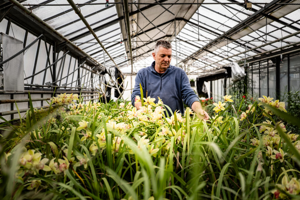 Serres - Service Cadre de vie Espaces Verts - Raphaël Josse - Ville de Brive - 5481