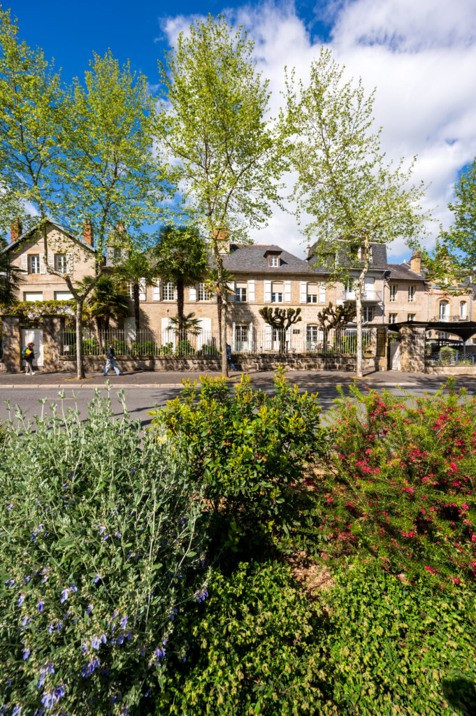 Végétalisation - Xavier Harismendy - Ville de Brive-3504