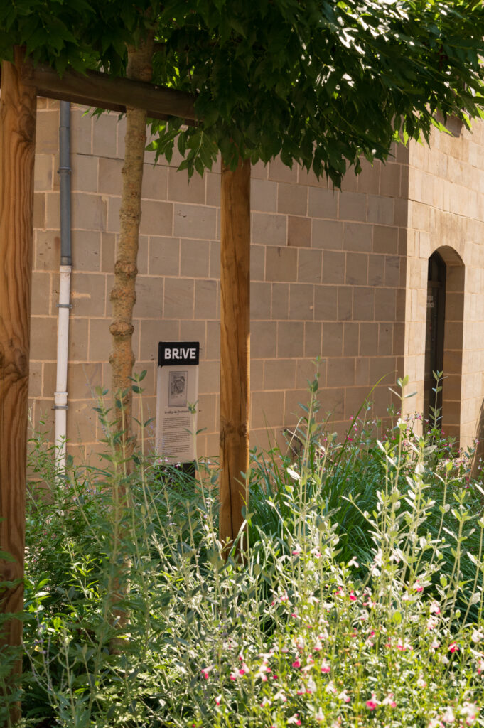 Xavier Harismendy - Ville de Brive - XAV-5568