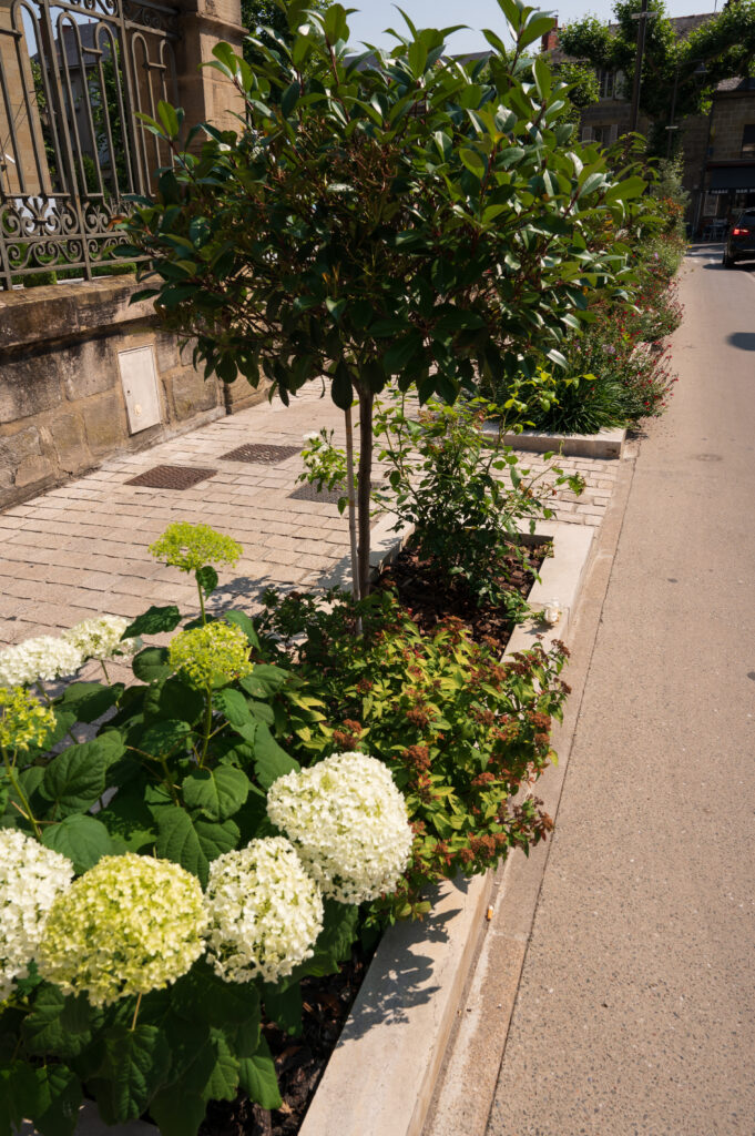 Xavier Harismendy - Ville de Brive - XAV-5626