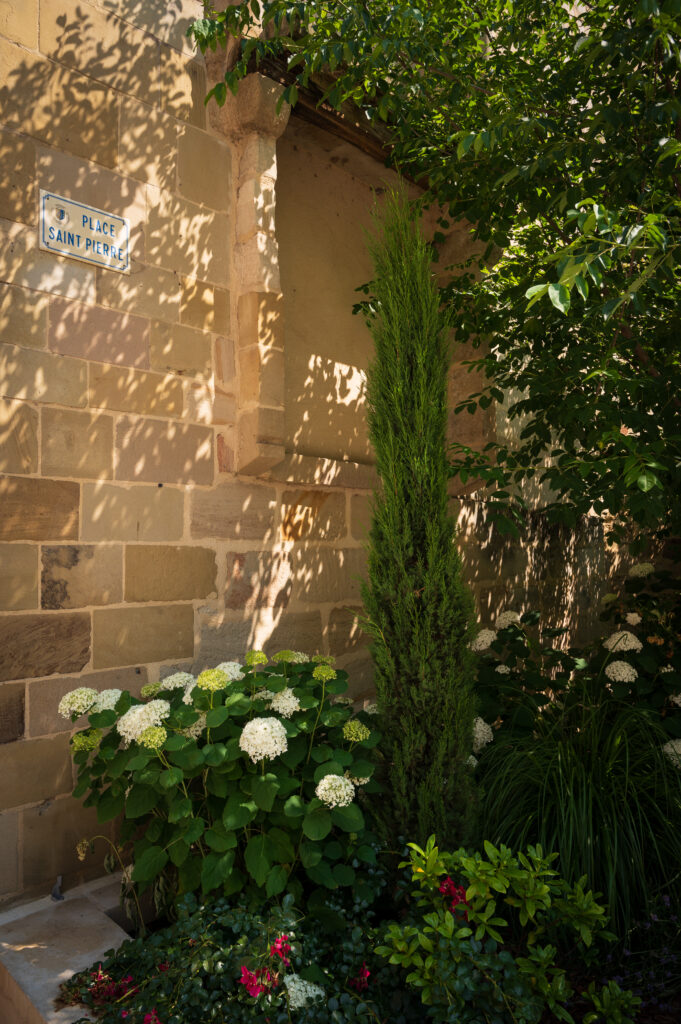 Xavier Harismendy - Ville de Brive - XAV-5632