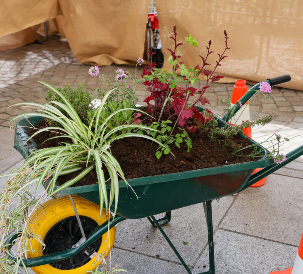 la fête des jardins Fatima Kaabouch Ville-de-Brive