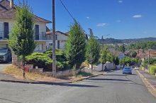 Rue Maréchal Juin Brive Arbres