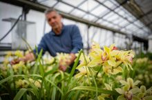 Serres - Service Cadre de vie Espaces Verts - Raphaël Josse - Ville de Brive - 5479
